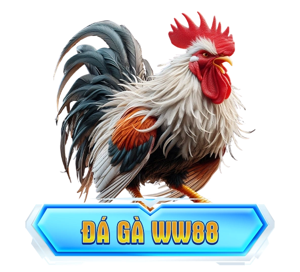 đá gà ww88
